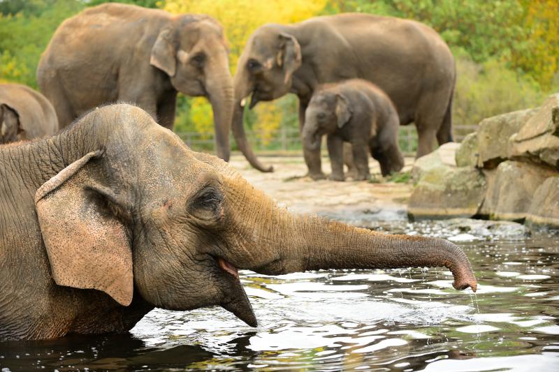 Foto: Osterferien im Tierpark Berlin-Friedrichsfelde