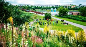 Ausflüge in die Natur in Berlin und Brandenburg