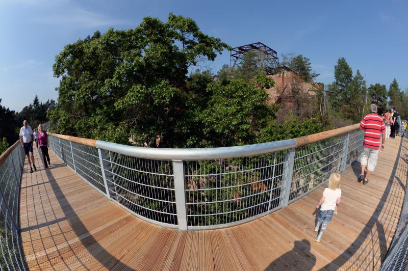 Picture: Treetop Path in Beelitz