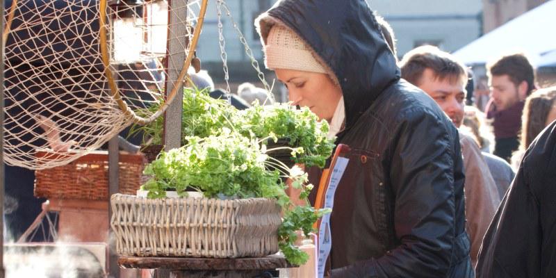 Picture: Street Food auf Achse at the Kulturbrauerei