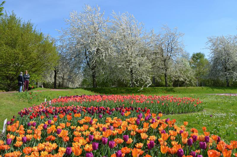 Foto: Grün Berlin GmbH