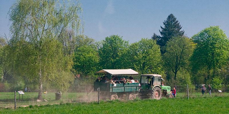 Foto: Domäne Dahlem | Wendlandt