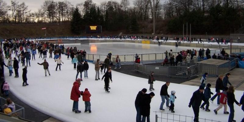 Picture: Horst Dohm Ice Pavilion Wilmersdorf