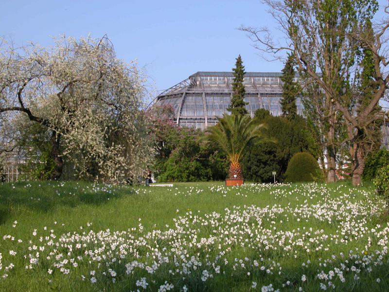 Foto: I. Haas |  Botanischer Garten und Botanisches Museum Berlin-Dahlem