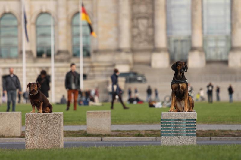 Foto: Fellnasen-Express.de