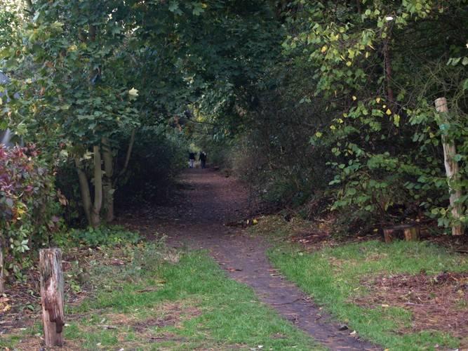 Foto: Hundeauslaufgebiet Forst Jungfernheide