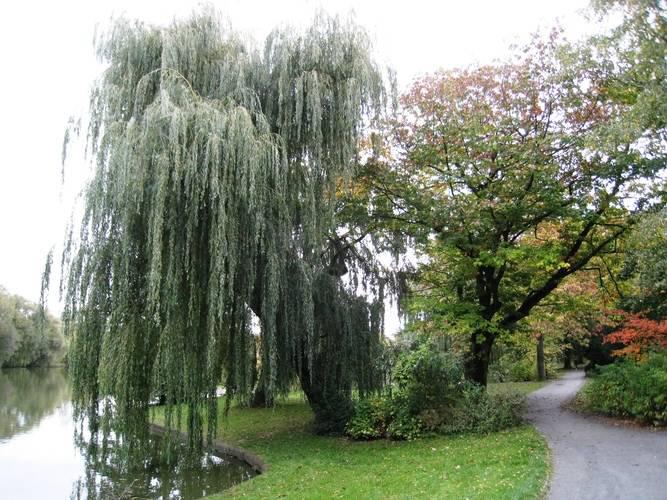 Foto: Joggingstrecke in Hohenschönhausen