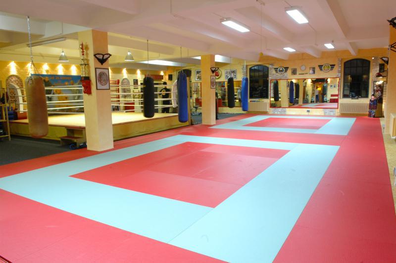 Picture: Fighting School Mewis Dojo