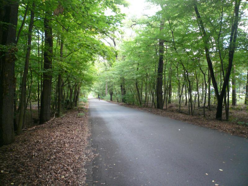 Foto: Skatestrecke Kronprinzessinnenweg