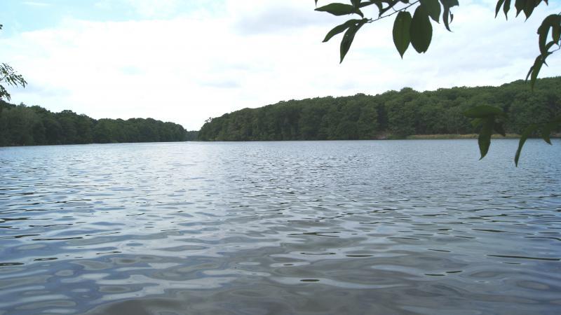 Picture: Liepnitzsee