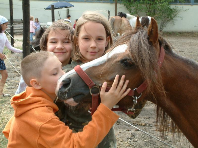 Foto: PSP Sportpark GmbH