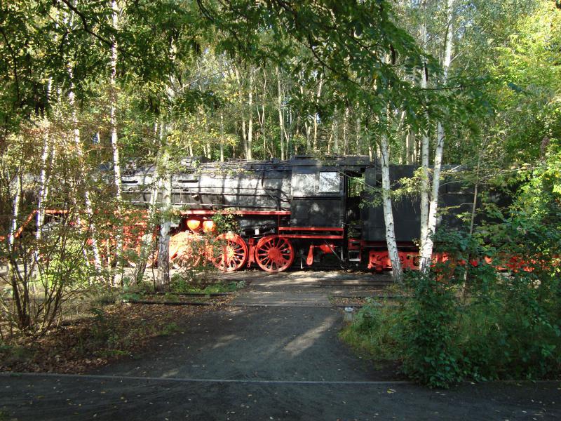 Picture: Photography at the Natur-Park Schöneberger Südgelände