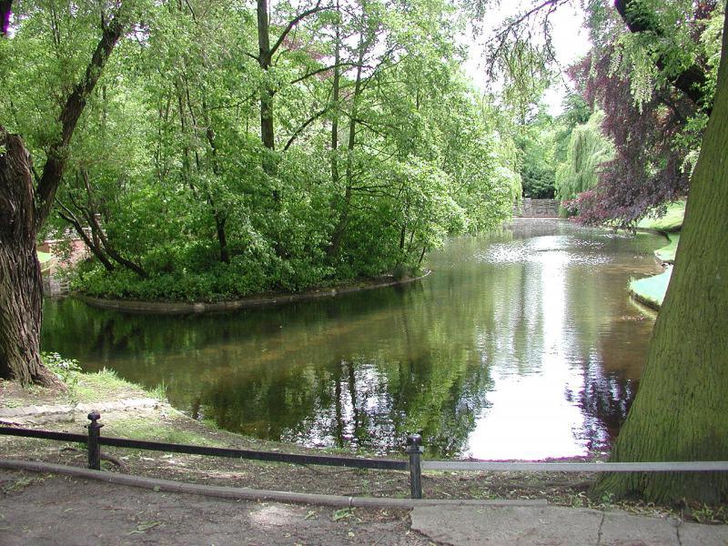 Picture: BBQ at Stadtpark Lichtenberg