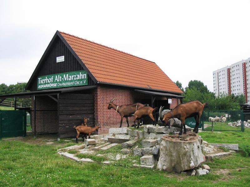 Foto: Tierhof Marzahn