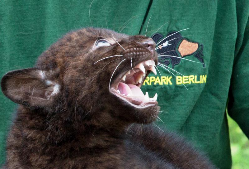 Foto: Tierpatenschaft im Tierpark Berlin-Friedrichsfelde