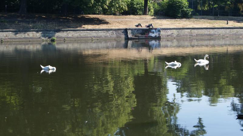 Foto: Top10 Berlin