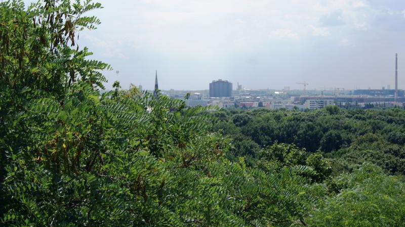 Foto: Volkspark Humboldthain