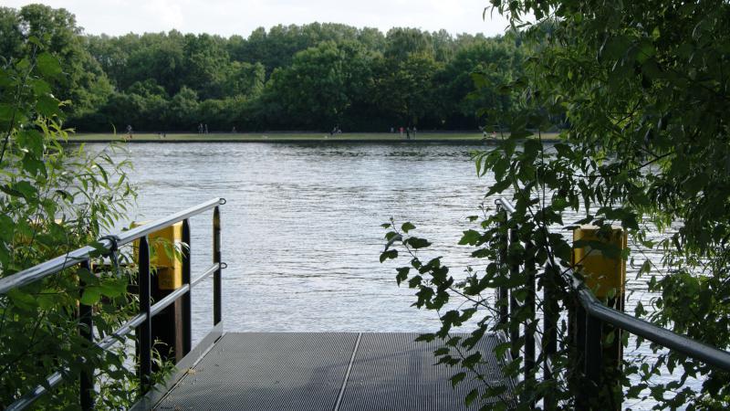 Foto: Picknick auf der Halbinsel Stralau – Wendewiese