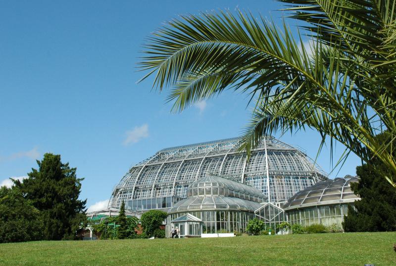 Foto: Tropenhaus im Botanischen Garten