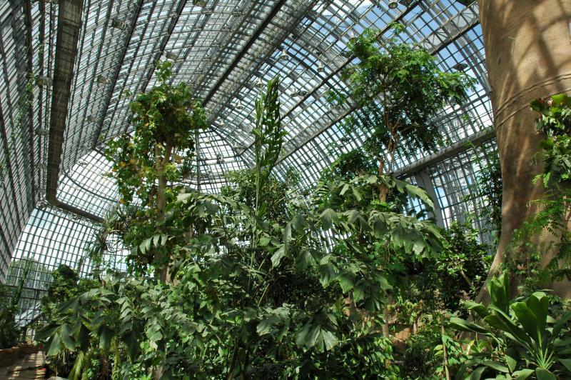 Foto: I. Haas |  Botanischer Garten und Botanisches Museum Berlin-Dahlem