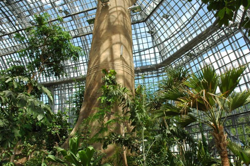 Foto: Heiraten im Botanischen Garten