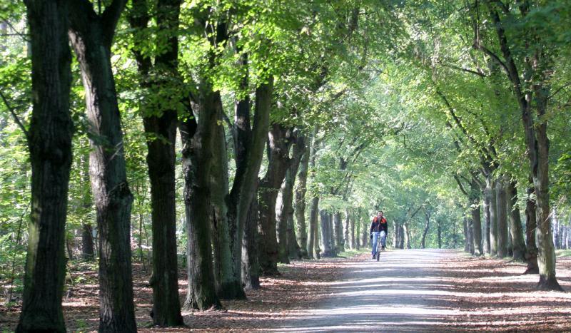 Foto: Trimm-Dich-Pfad im Grunewald