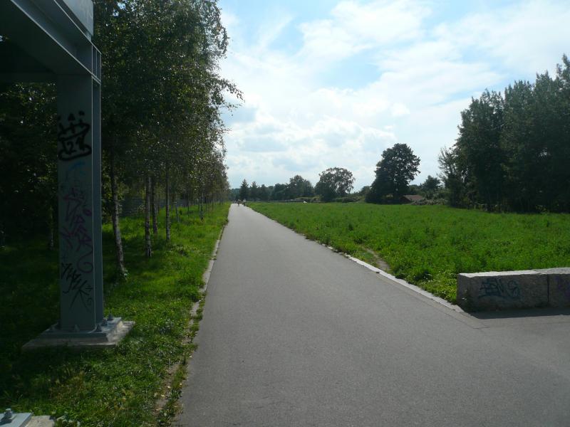 Foto: Skatestrecke im Hans-Balluschek-Park