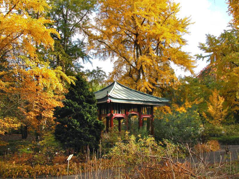 Picture: Botanical Garden Dahlem