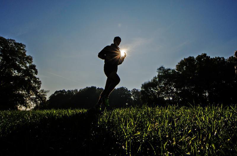 Foto: Joggingstrecke im Volkspark Jungfernheide