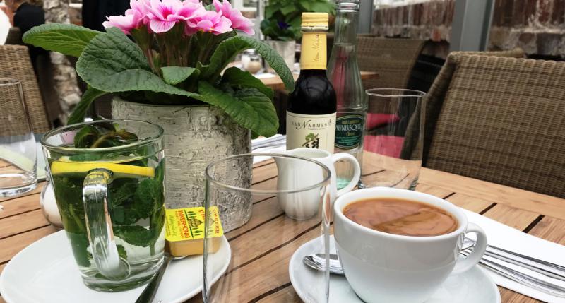 Picture: Sunday brunch in a greenhouse