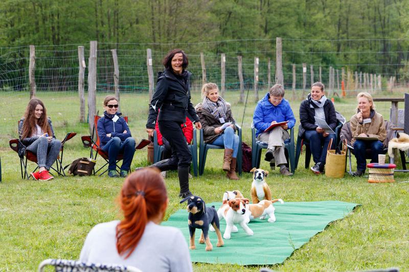 Foto: Dogs Institut