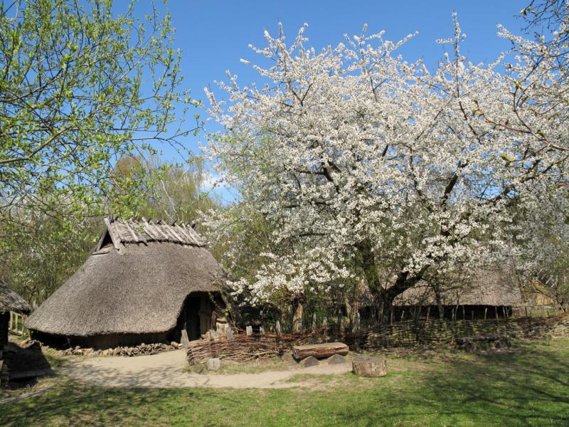 Foto: Museumsdorf Düppel