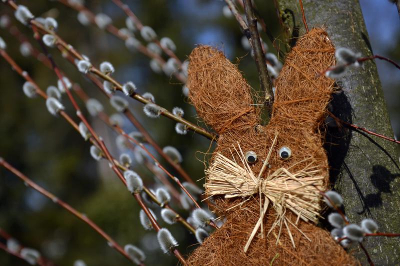 Foto: Ostersonntag auf dem Erlebnishof Klaistow