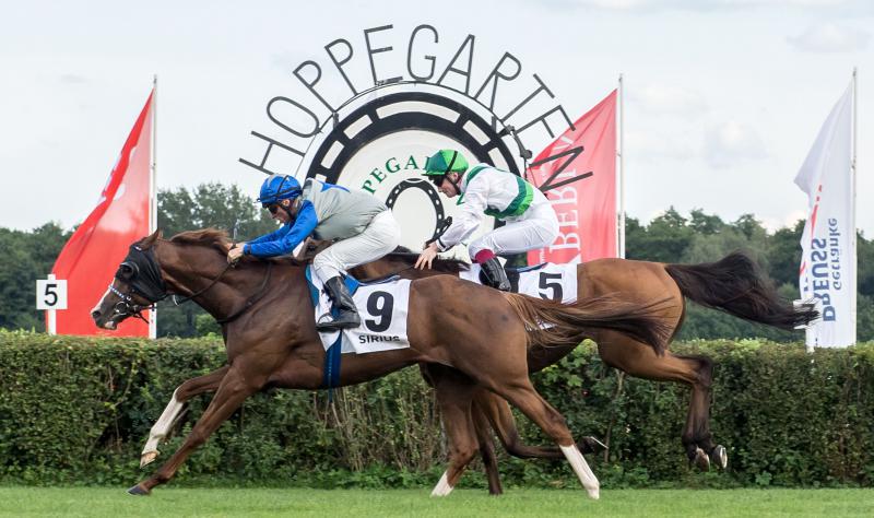 Foto: Ostersonntag auf der Rennbahn Hoppegarten