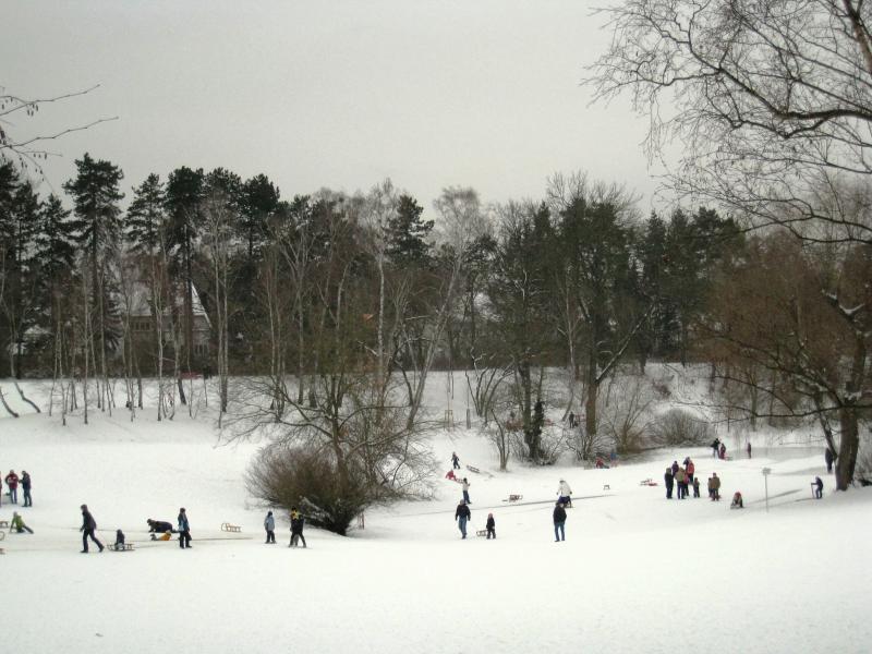 Picture: Sledding Hill Fischtalpark