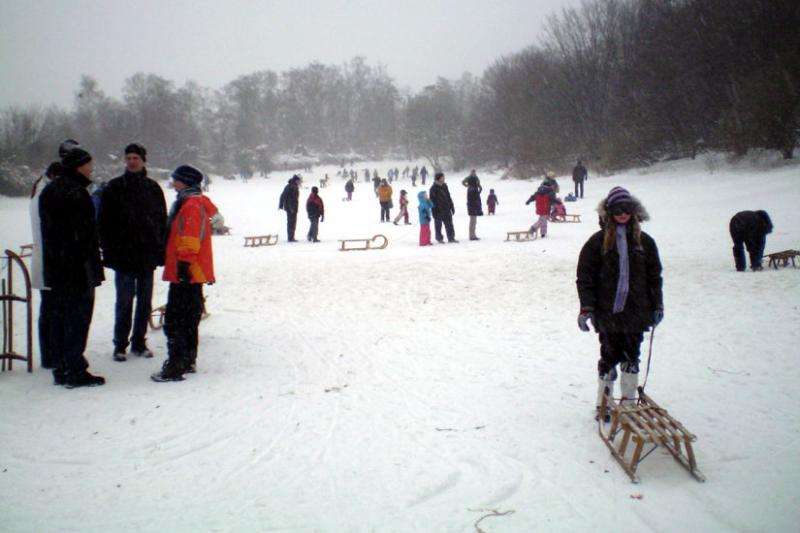 Picture: Sledding Hill Insulaner