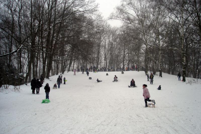 Foto: Rodelberg Humboldthöhe