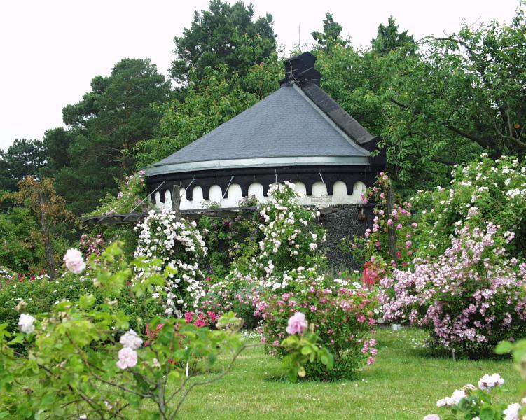 Foto: Botanische Nacht im Botanischen Garten Dahlem