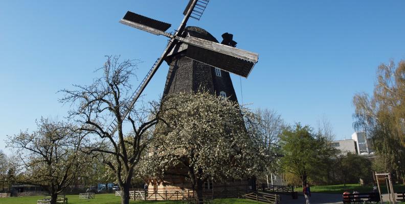 Picture: Britz Windmill