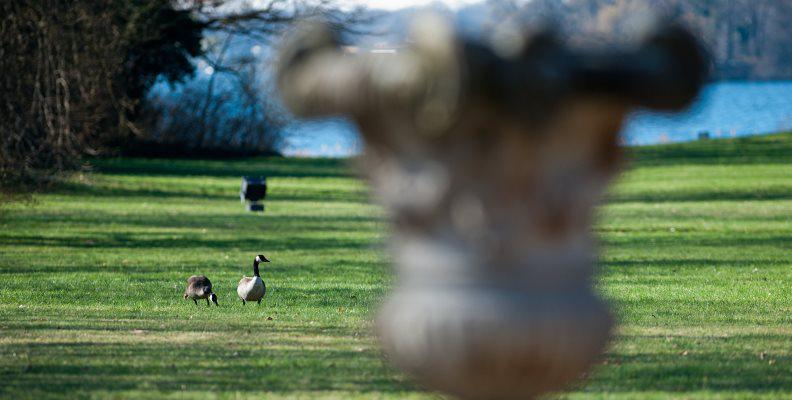 Foto: Joggingstrecke am Tegeler See