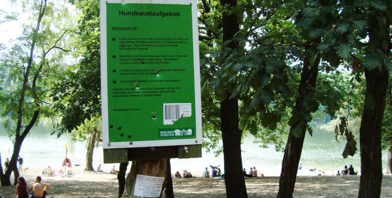 Foto: Hundeauslaufgebiet Grunewald