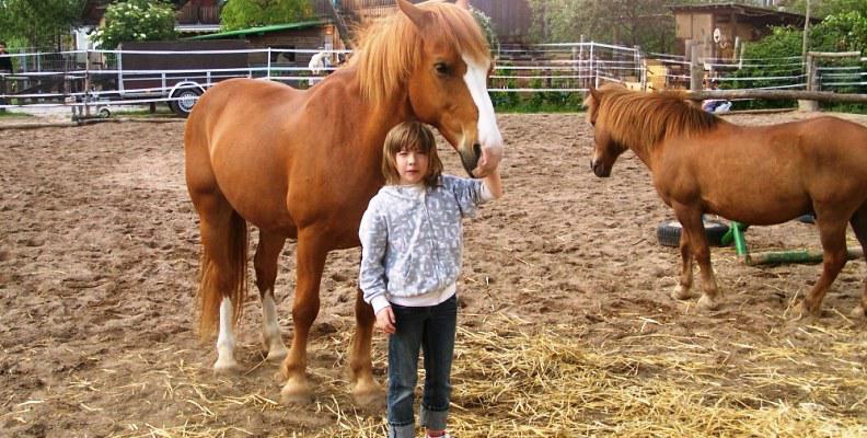 Foto: Jugendfarm Moritzhof