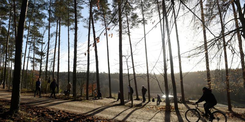 Foto: Rennradstrecke über Potsdam und Neu Fahrland