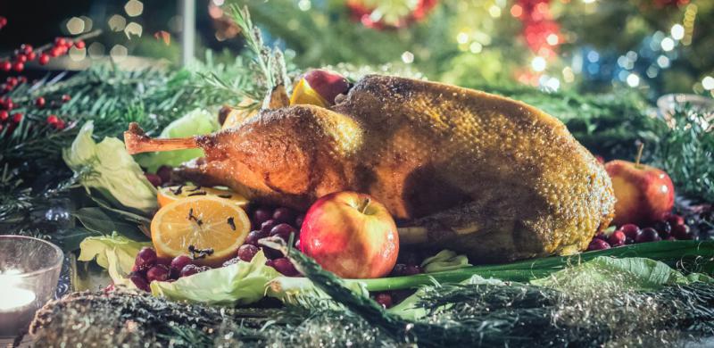 Weihnachtsgans und Gänsebraten