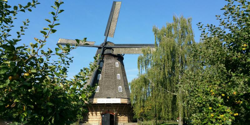 Foto: Heiraten in der Britzer Mühle