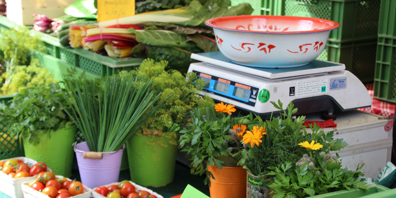 Foto: Ökomarkt am Kollwitzplatz