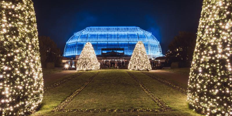 Besondere Weihnachtsfeiern