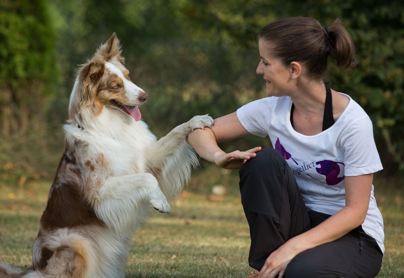 Foto: Hundeauslaufgebiet Kleiner Wannsee