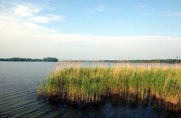 Foto: Strandbad Wandlitzsee