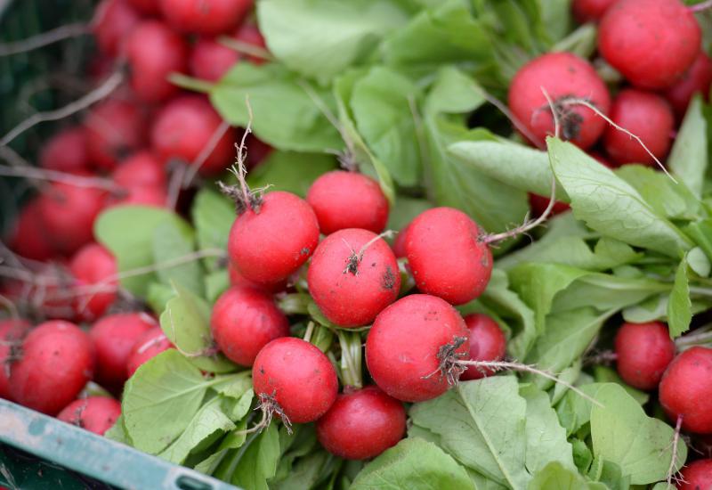 Foto: Feinschmecker und Kunstmarkt am Hackeschen Markt